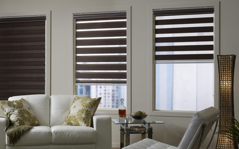 Zebra Blinds Dealers In Gurugram & Haryana